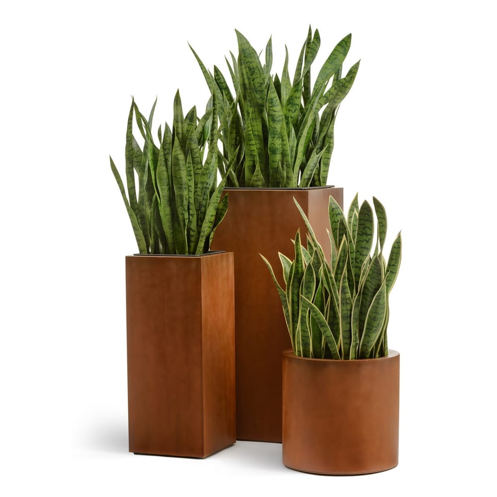 Кашпо TREEZ Effectory Corten Steel Высокий куб - Кортеновская сталь - Бархатистая окись — фото в интерьере, купить в Краснодаре в интернет-магазине Зелёный Дворик