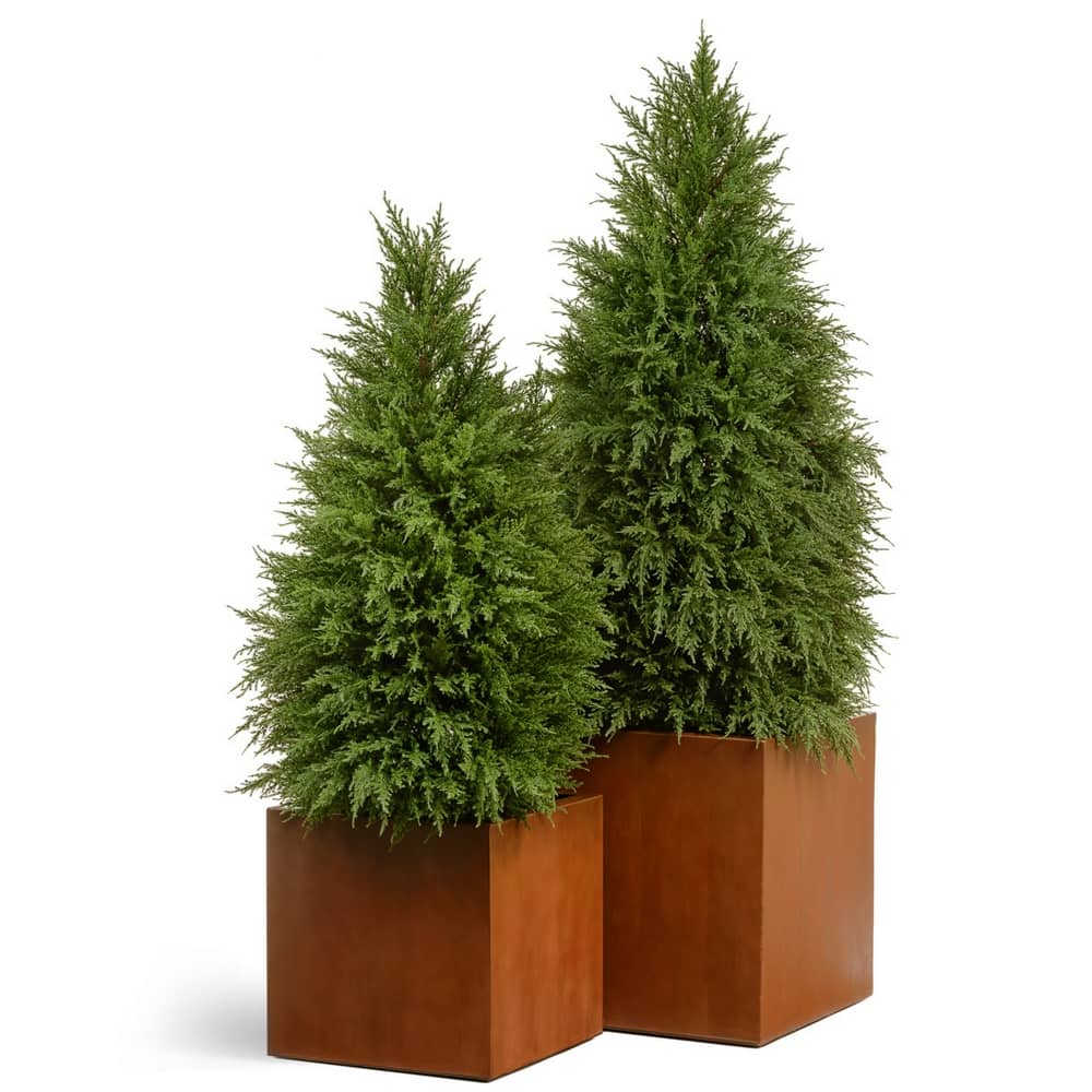 Кашпо TREEZ Effectory Corten Steel Куб Бархатистая окись — фото в интерьере, купить в Краснодаре в интернет-магазине Зелёный Дворик