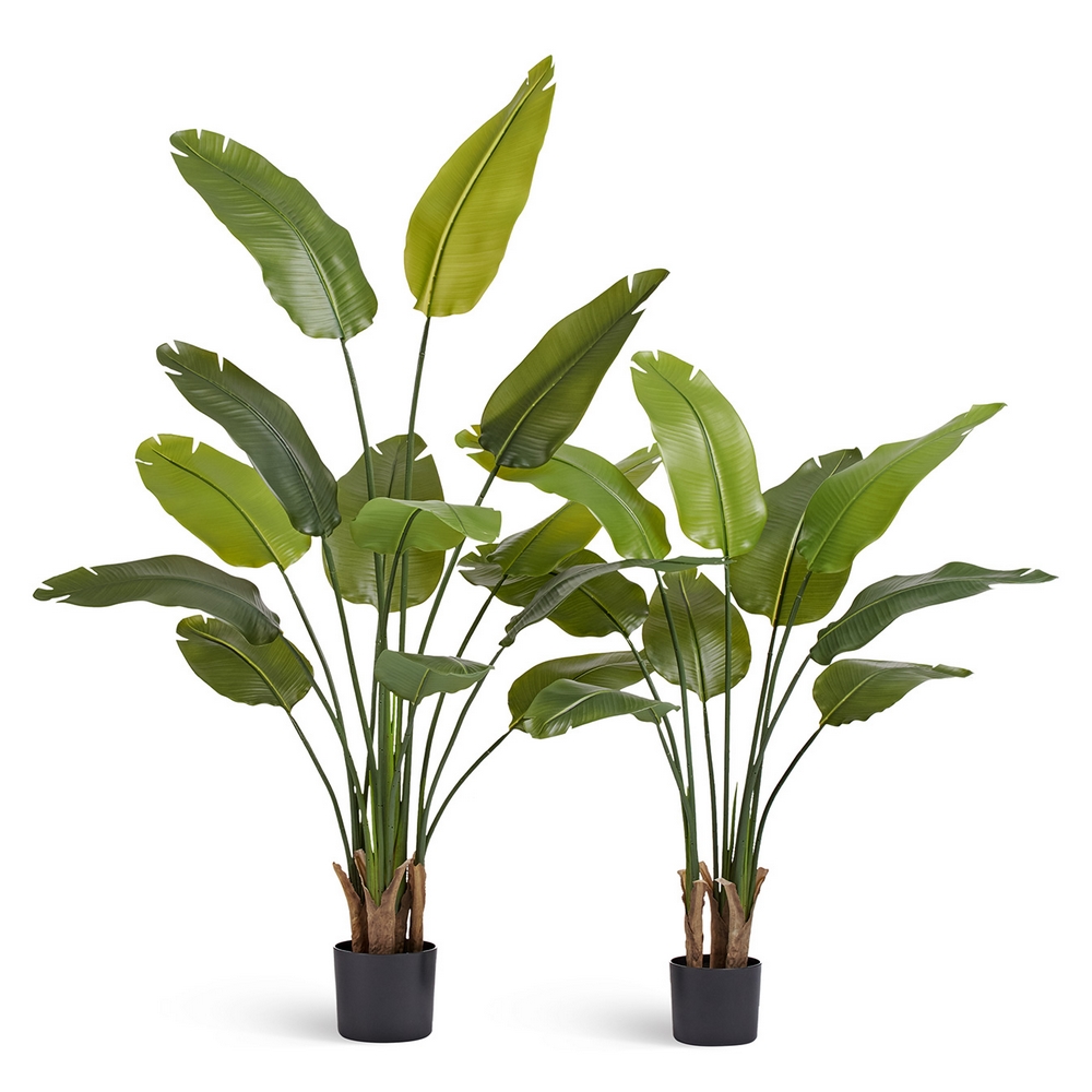 Стрелиция New Style (Sensitive Botanic) 110 см — вид сбоку и детали отделки