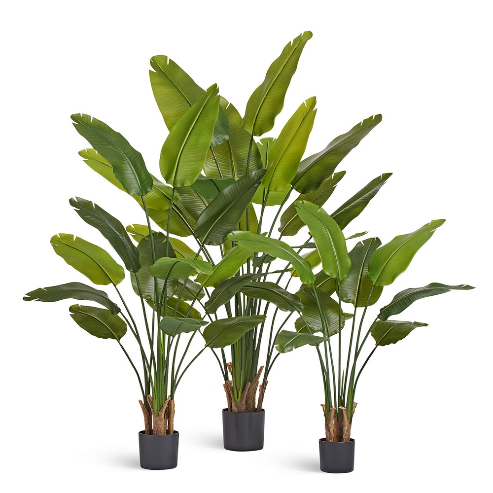 Стрелиция New Style (Sensitive Botanic) 110 см — крупный план, фактура и текстура материала