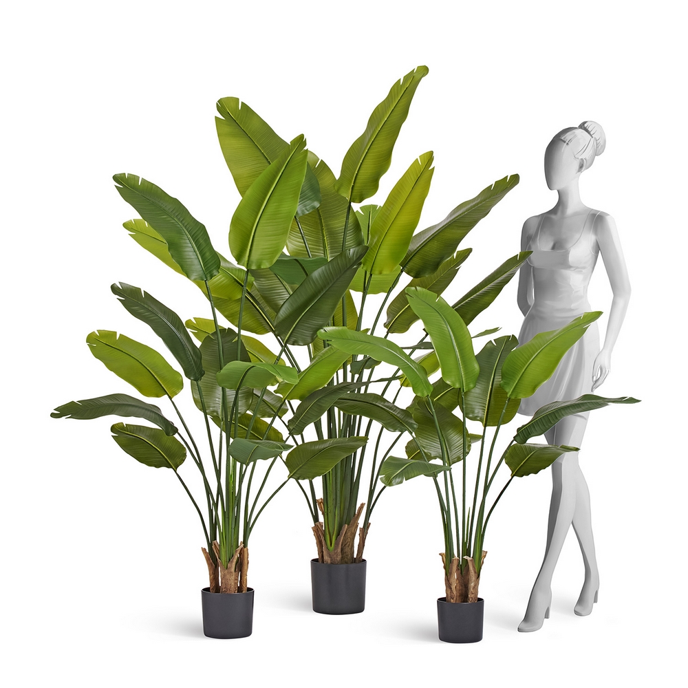 Стрелиция New Style (Sensitive Botanic) 110 см — фото в интерьере и реальные пропорции