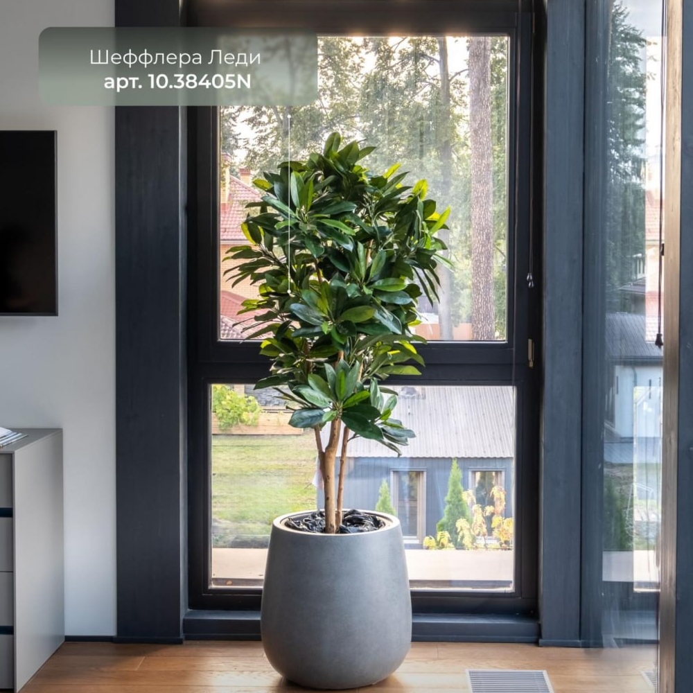 Кашпо TREEZ Effectory Beton Design-Чаша Тёмно-серый бетон — фото в интерьере и реальные пропорции