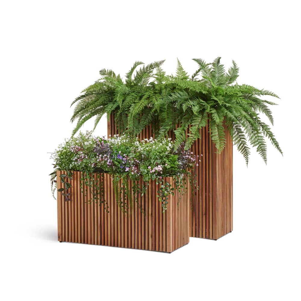 Кашпо TREEZ Effectory Timberline Низкий дивайдер Тёмное дерево — фото в интерьере, купить в Краснодаре в интернет-магазине Зелёный Дворик