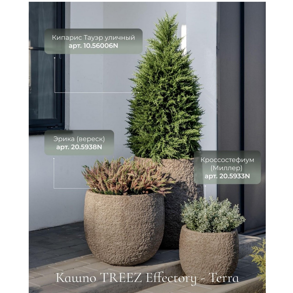 Кашпо TREEZ Effectory Terra Высокий конус Серый беж — крупный план, фактура и текстура материала