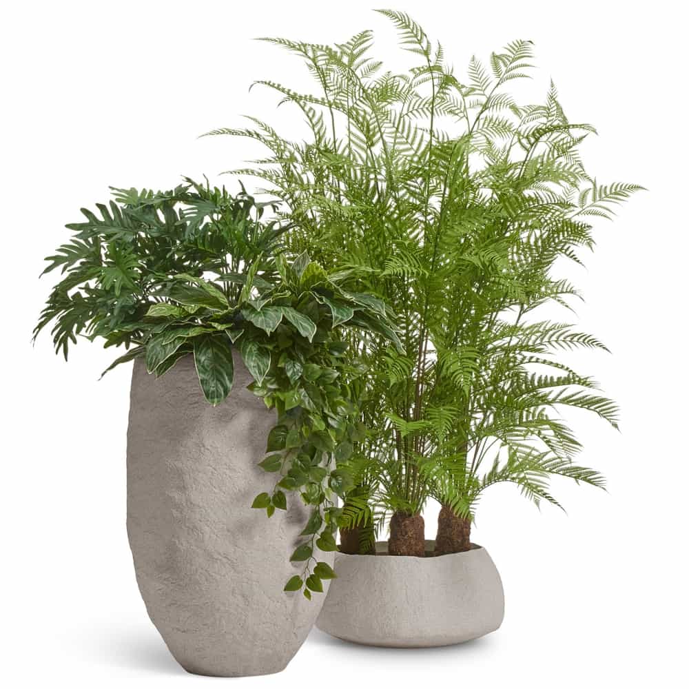 Кашпо TREEZ Effectory Organic Высокая чаша Белый песок — фото в интерьере, купить в Краснодаре в интернет-магазине Зелёный Дворик