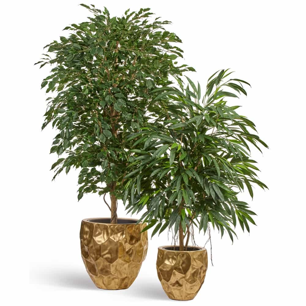 Кашпо TREEZ Effectory Metal Округлая чаша Design Сrumple Сусальное золото — фото в интерьере, купить в Краснодаре в интернет-магазине Зелёный Дворик