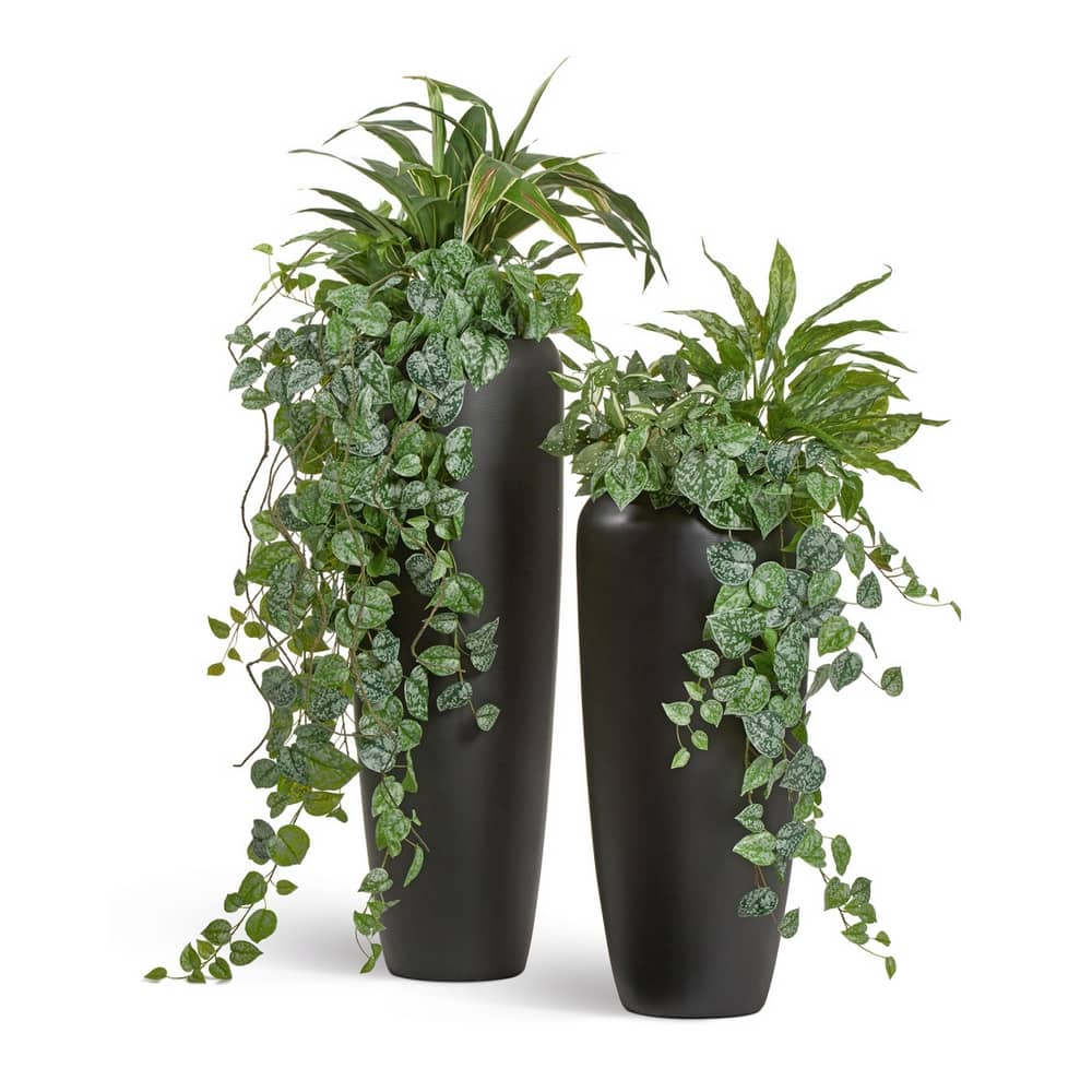 Кашпо TREEZ Effectory Black Stone Высокий конус Design Антрацит — вид сверху и элементы конструкции