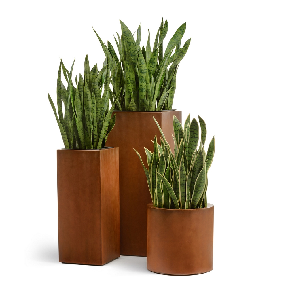 Кашпо TREEZ Effectory Corten Steel Цилиндр Кортеновская сталь Бархатистая окись — крупный план, фактура и текстура материала