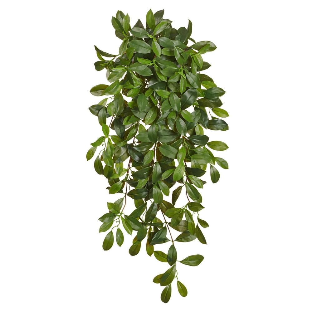 Фагрея Цейлоника большая зелёная ампельная (Sensitive Botanic) 110 см — фото в интернет-магазине Зелёный Дворик Краснодар Фагрея Цейлоника большая зелёная ампельная (Sensitive Botanic) — фото в интерьере, купить в Краснодаре в интернет-магазине Зелёный Дворик