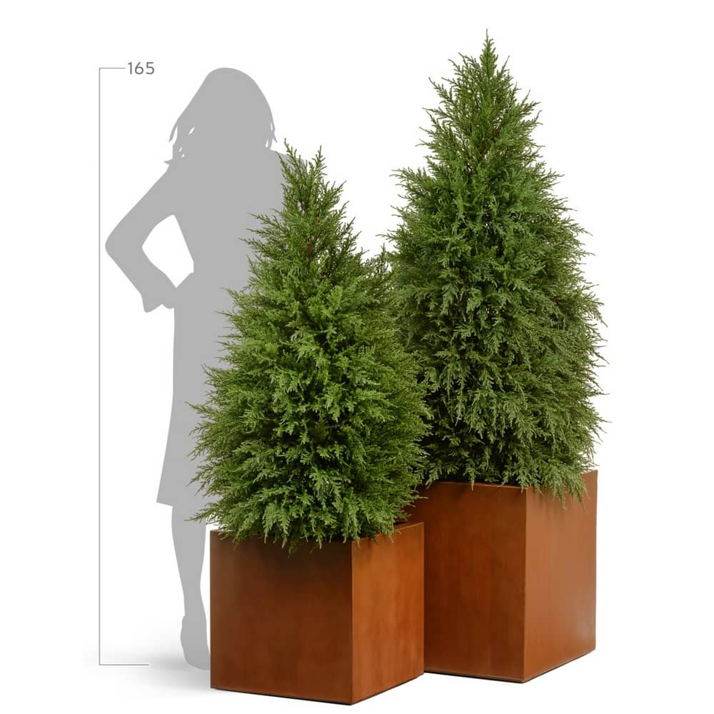 Кашпо TREEZ Effectory Corten Steel Куб Бархатистая окись — фото в интерьере, купить в Краснодаре в интернет-магазине Зелёный Дворик