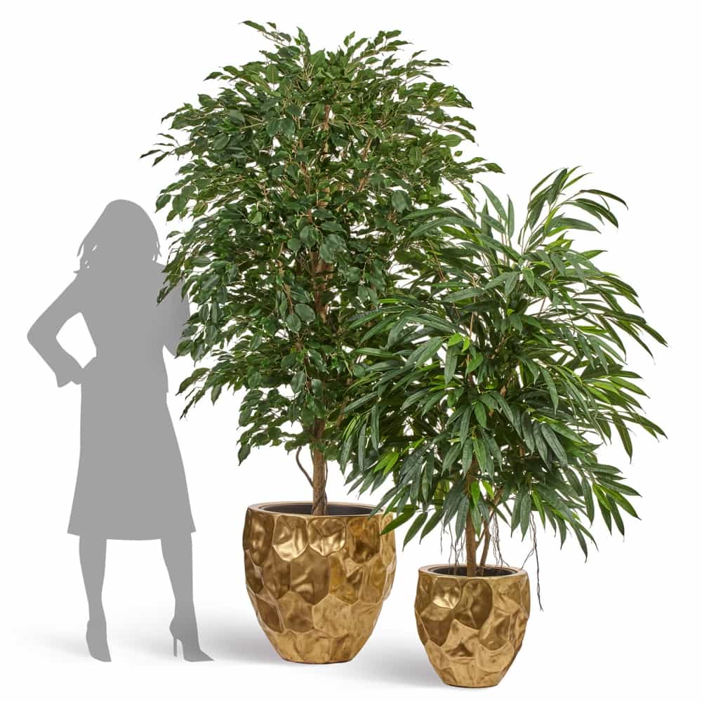 Кашпо TREEZ Effectory Metal Округлая чаша Design Сrumple Сусальное золото — фото в интерьере, купить в Краснодаре в интернет-магазине Зелёный Дворик