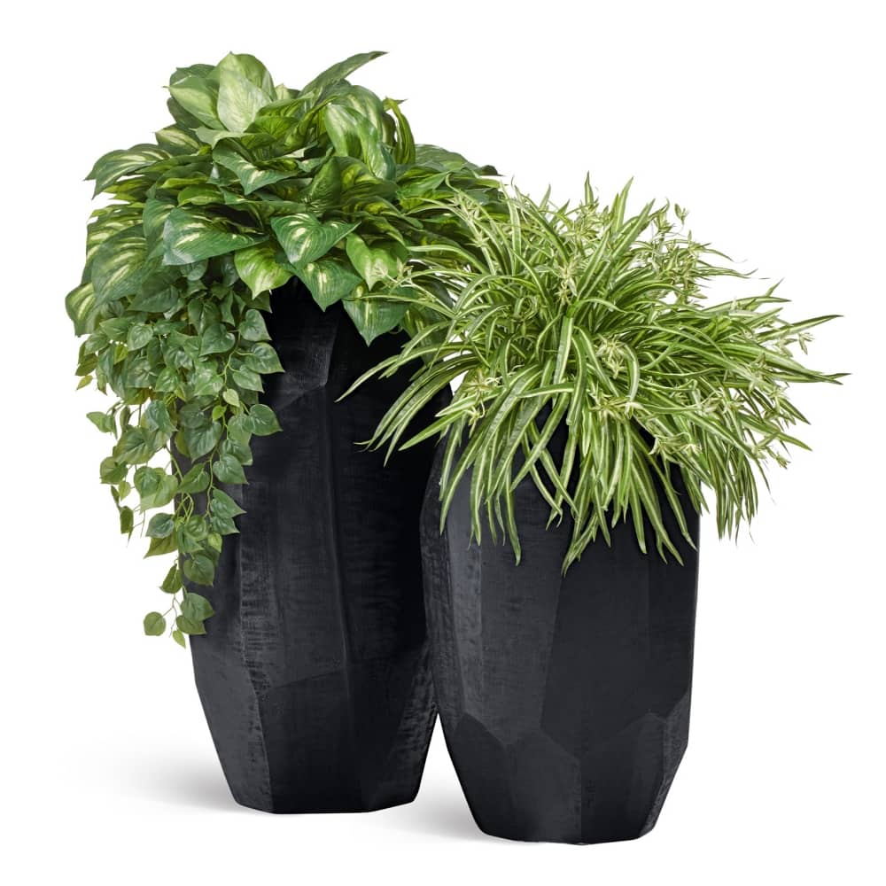 Кашпо TREEZ Effectory Anthra Высокий Design-многогранник Антрацит — фото в интерьере, купить в Краснодаре в интернет-магазине Зелёный Дворик