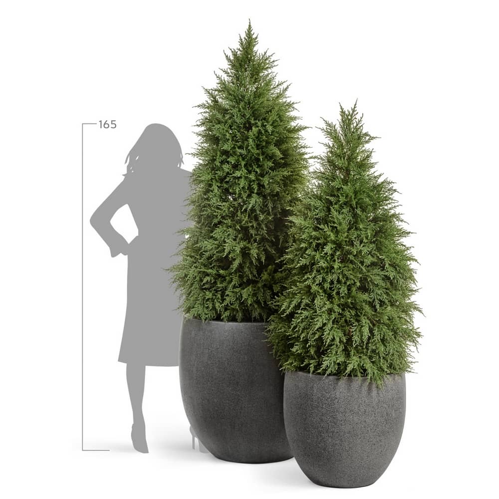 Кашпо TREEZ Effectory Stone Большой округлый конус Тёмно-серый камень — фото в интерьере, купить в Краснодаре в интернет-магазине Зелёный Дворик