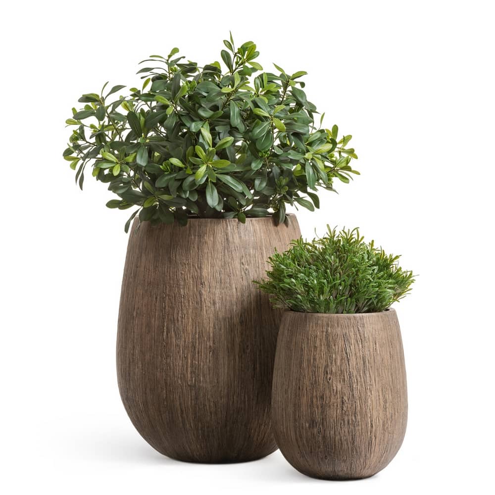 Кашпо TREEZ Effectory Wood Округлая чаша Светлый дуб — фото в интерьере, купить в Краснодаре в интернет-магазине Зелёный Дворик