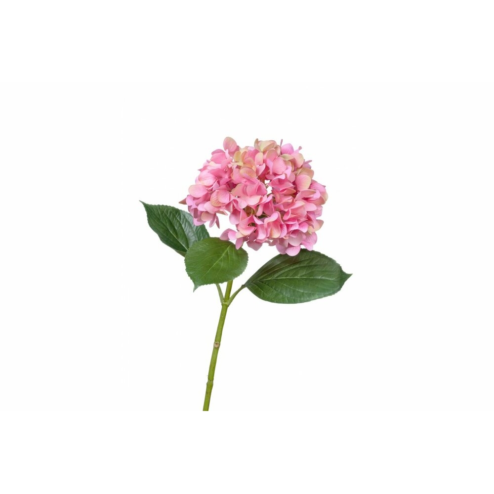 Гортензия "Grande Fiore" ярко-розовая — срезка, фото в высоком разрешении, купить в Краснодаре