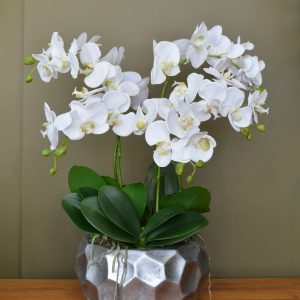 Композиция "Орхидея фаленопсис белый 5 веток в кашпо Comb серебро"