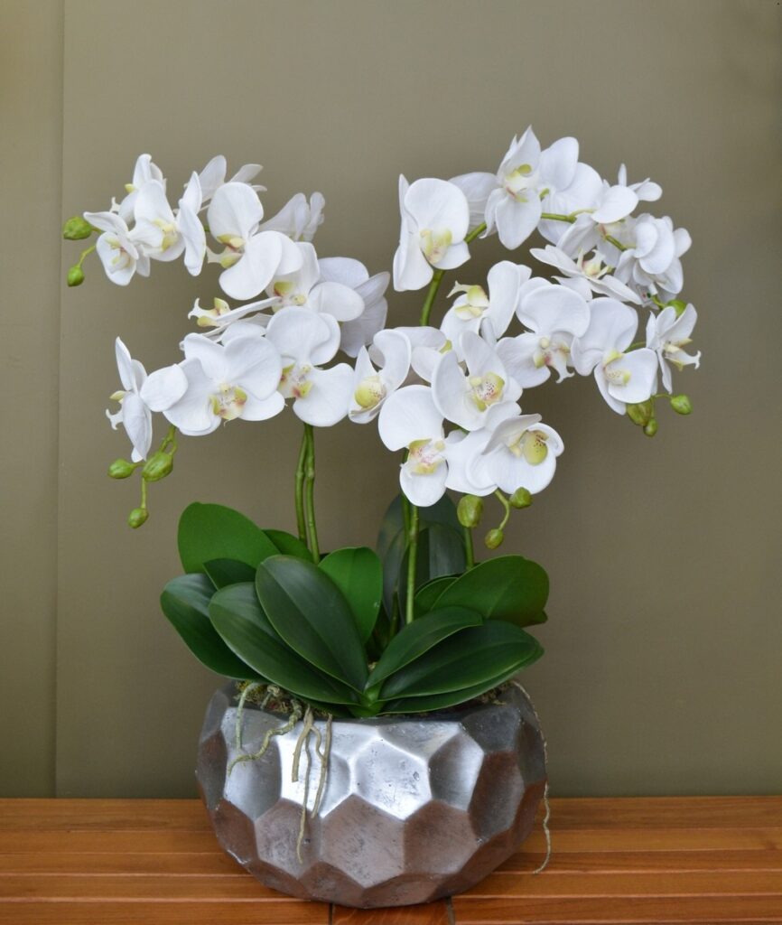 Композиция "Орхидея фаленопсис белый 5 веток в кашпо Comb серебро"