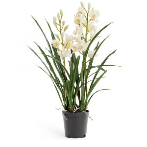 Композиция "Орхидея Цимбидиум белая куст в кашпо 2 ветки"