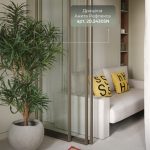 Драцена Анита Рефлекса