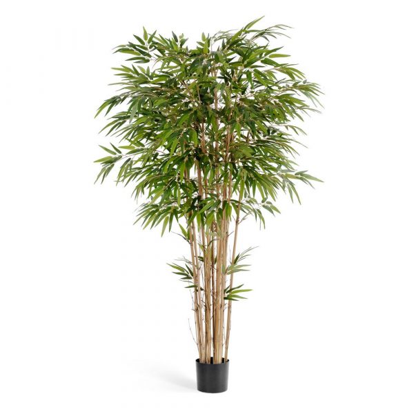 Бамбук Натуральный