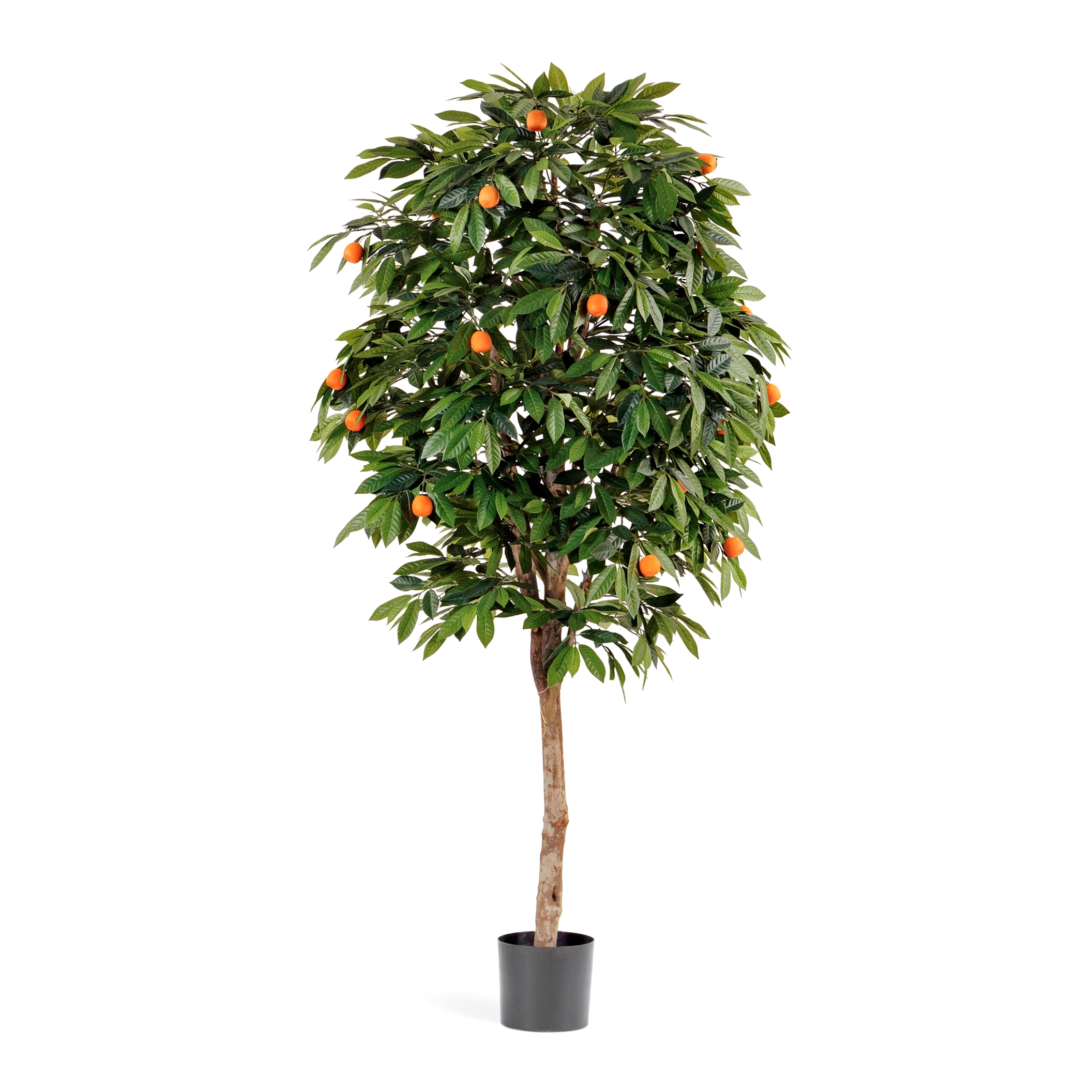 10.40004N Мандарин Оранж - 110