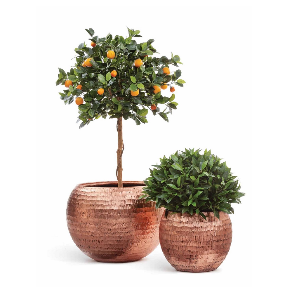 10.41200N Лавр шар