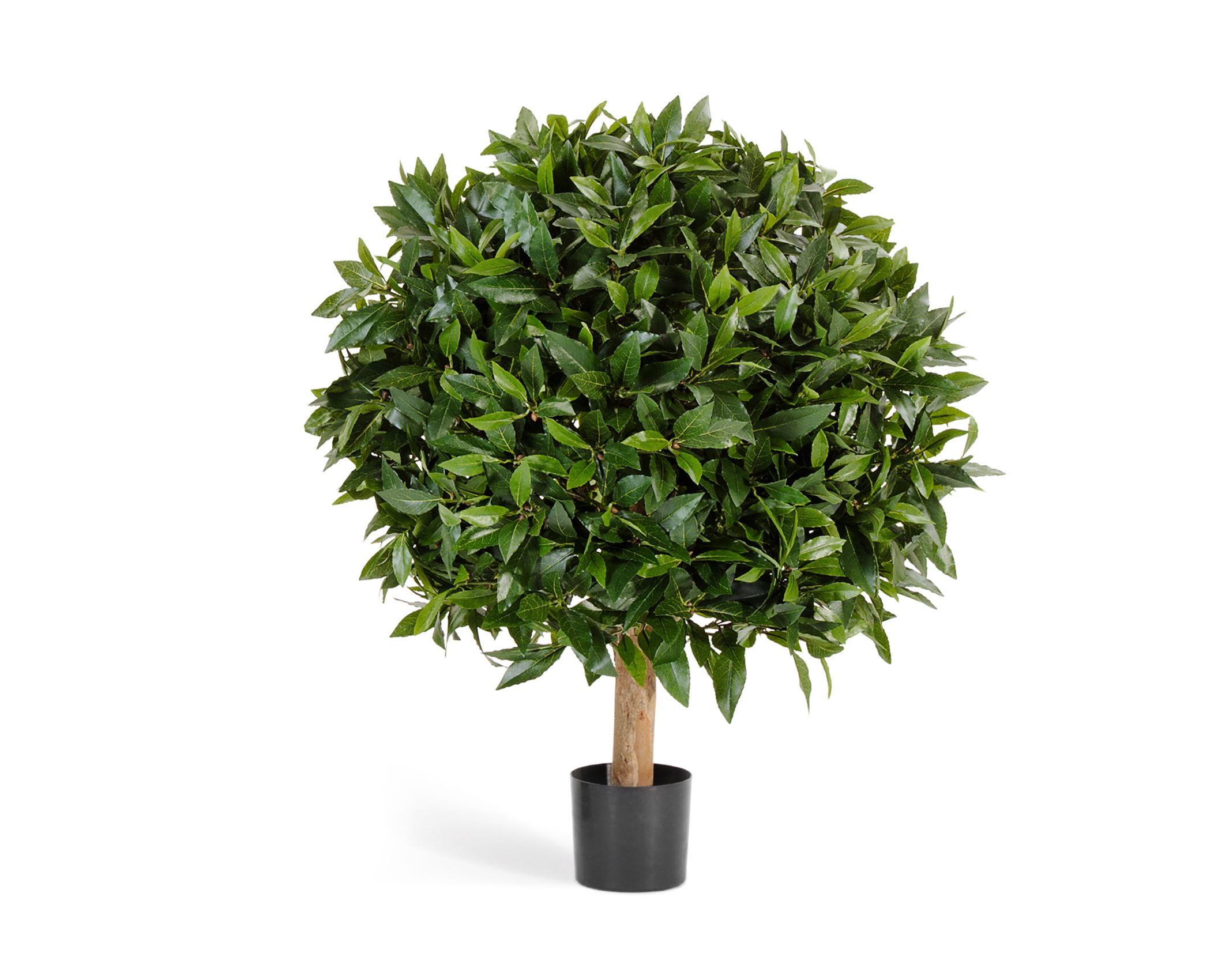 10.41201N_T Лавр шар