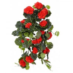 Пеларгония ампельная  в кашпо 85 см - красный цветок (растения)