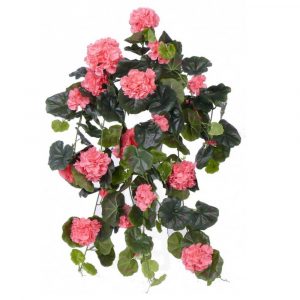 Пеларгония ампельная  в кашпо 85 см - розовый цветок (растения)