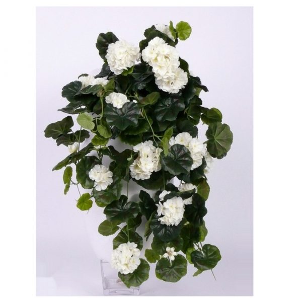 Пеларгония ампельная  в кашпо 85 см - белый цветок (растения)