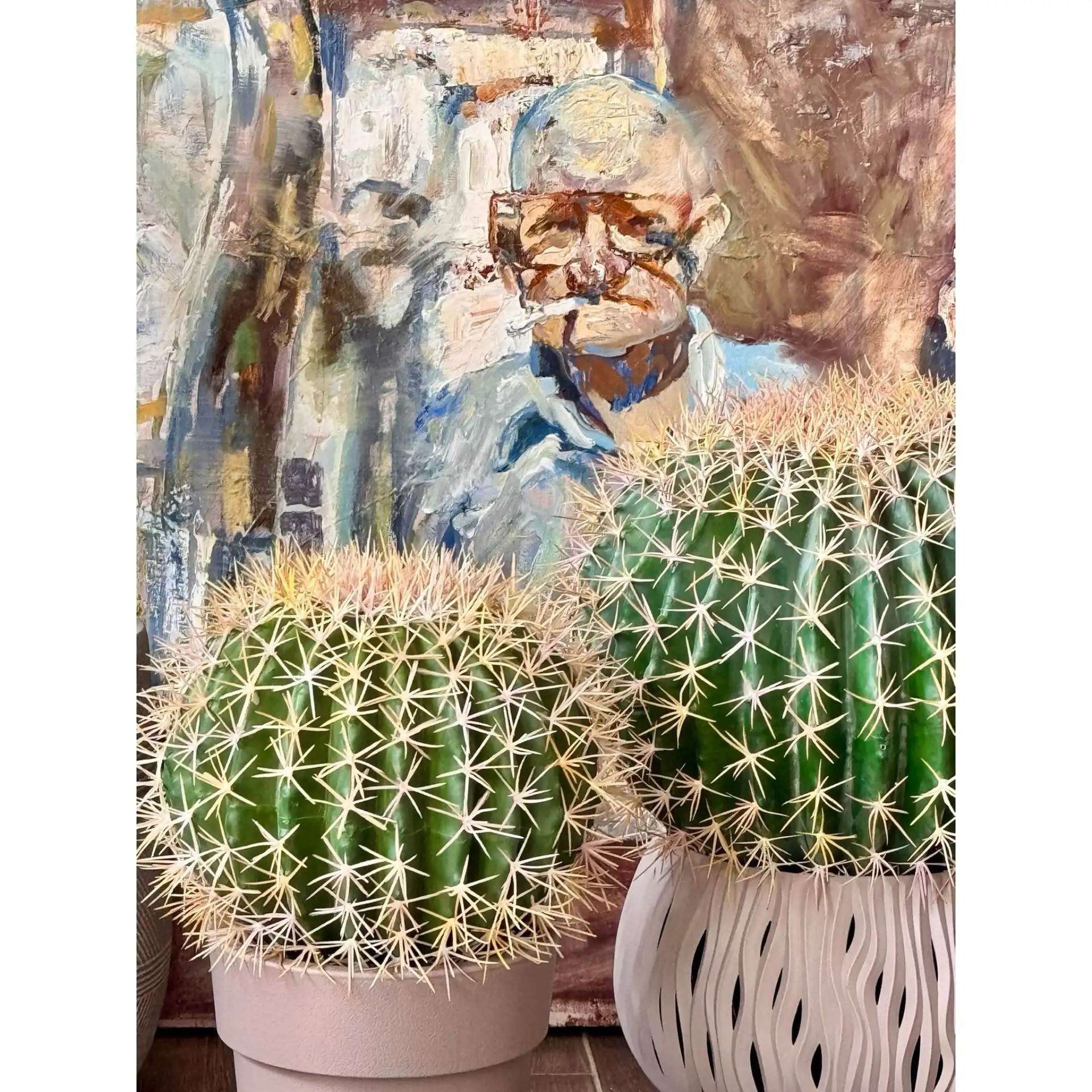 Кактус Баррель