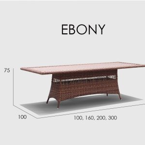 EBONY стол прямоугольный 300cм