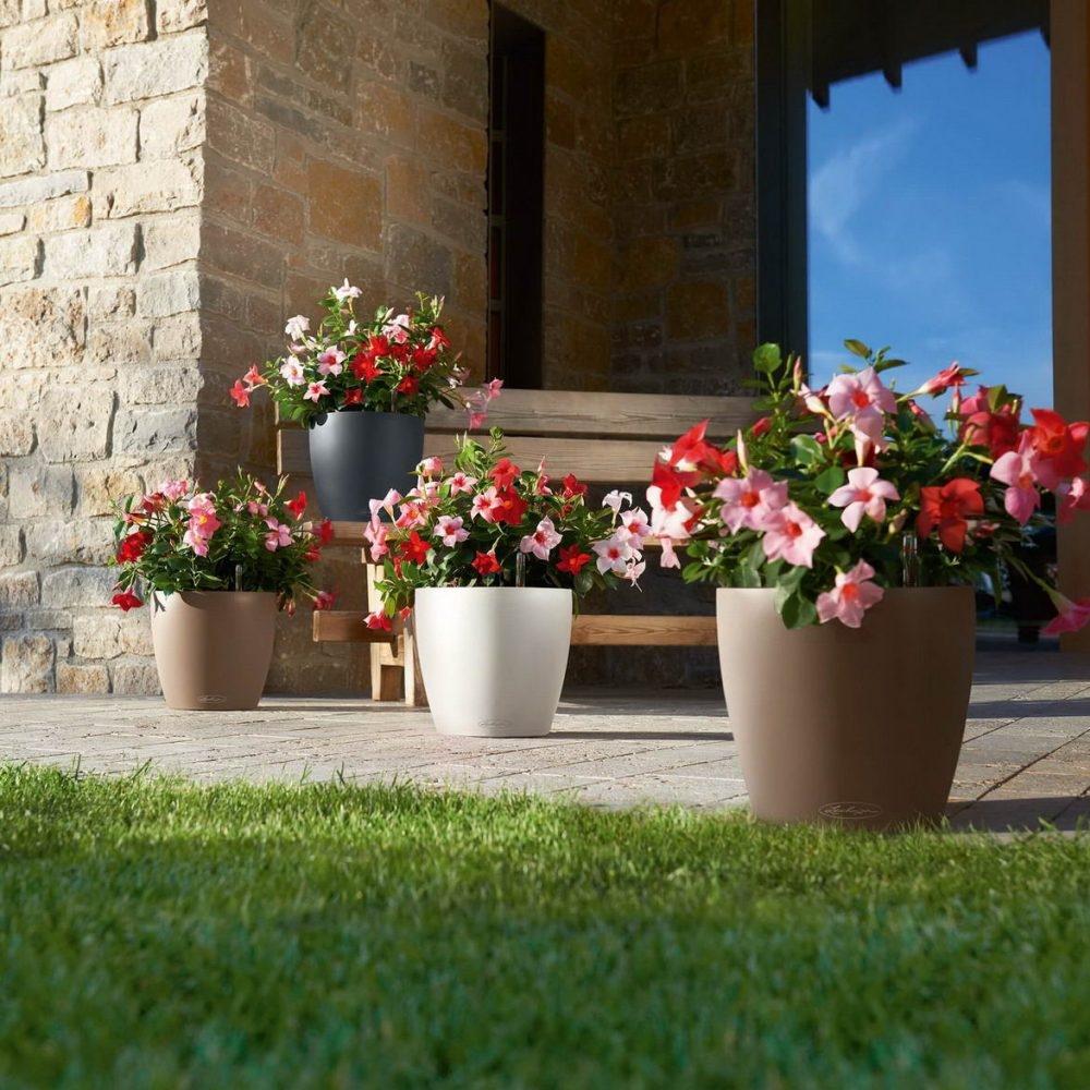 Кашпо Classico Color