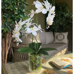Композиция "Орхидея белая 2 ветки в рефленой вазе"