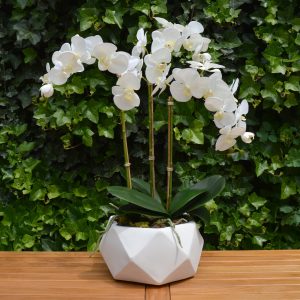 Композиция "Орхидея белая 3 ветки в белом кашпо Rombo"
