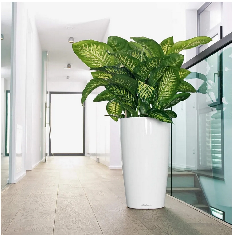 15780111 Кашпо Rondo