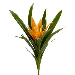 Гусмания Элегант 30см - желтый цветок (растения)