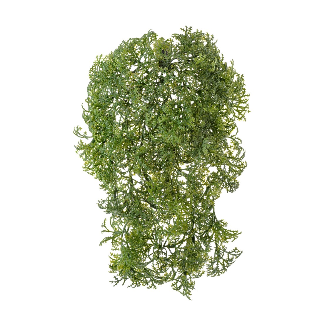 Ватер-грасс (Рясковый мох)