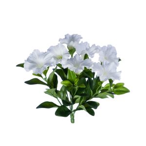 Петунья без кашпо 20см - белый цветок (растения)