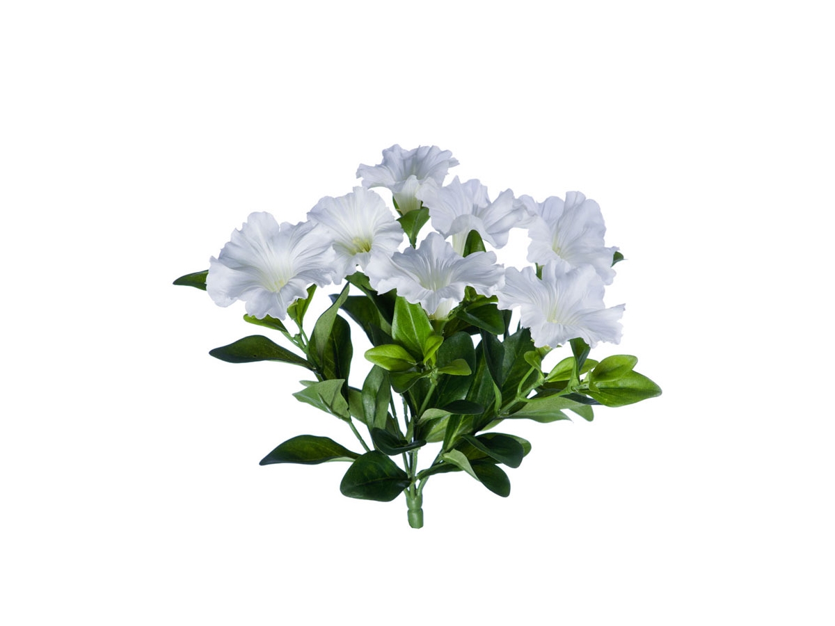 20.1086W Петунья без кашпо 20см - белый цветок (растения)