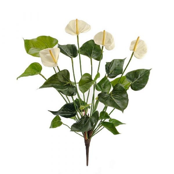 Антуриум без кашпо  45см - белый цветок (растения)
