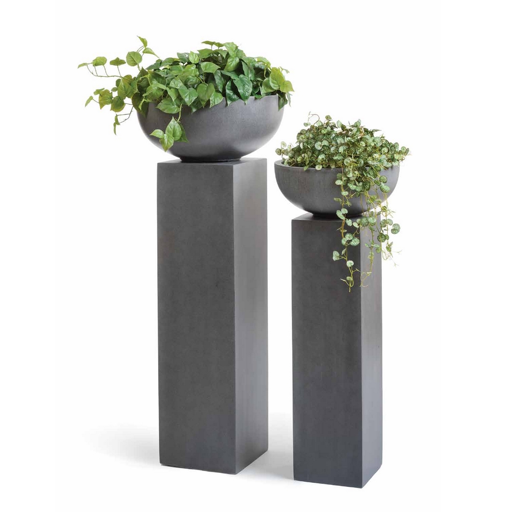 Филодендрон крупнолистный - 45