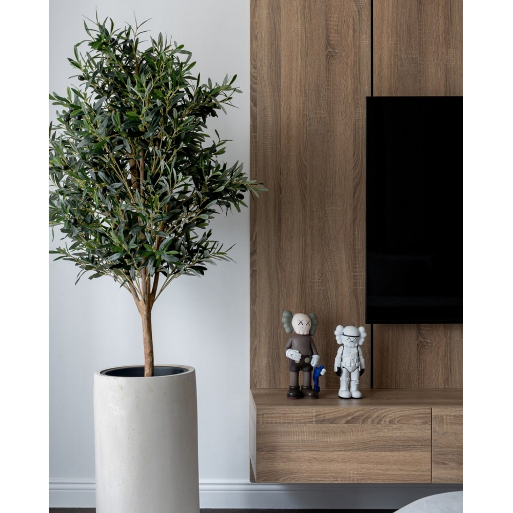 Олива Вайн с плодами