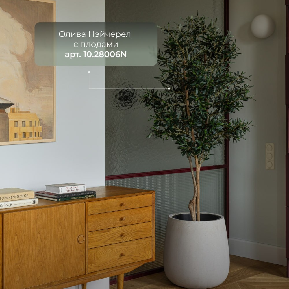 2828.jpg33 Олива Нейчерел