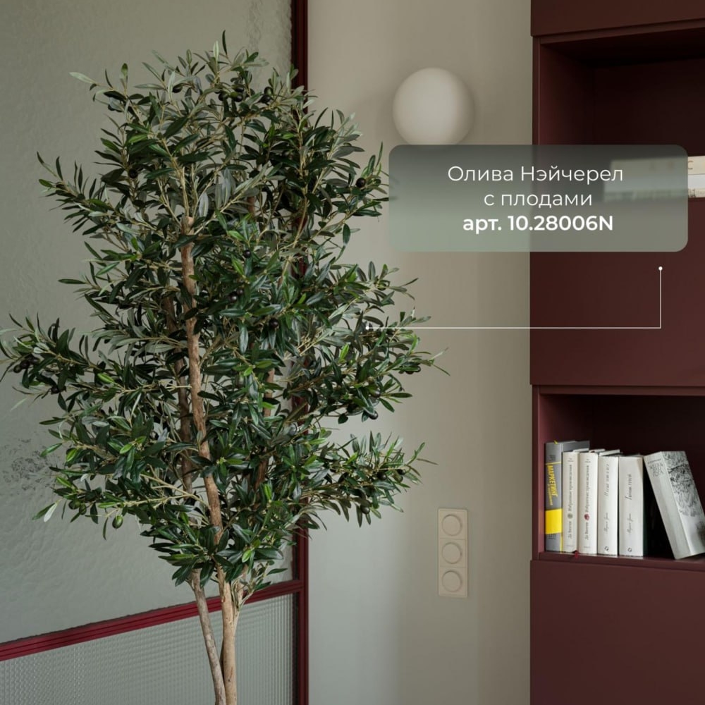 Олива Нейчерел