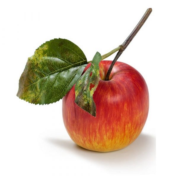 Яблоко красно-желтое на веточке, д -7,5см