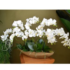 Композиция "Орхидея фаленопсис белая в лодочке"