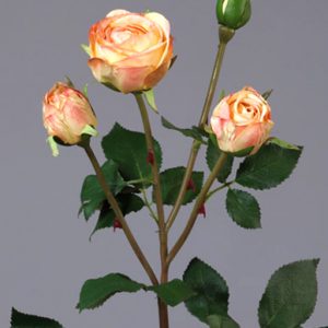 Роза Пале-Рояль ветвь персиково-золотистая 47см