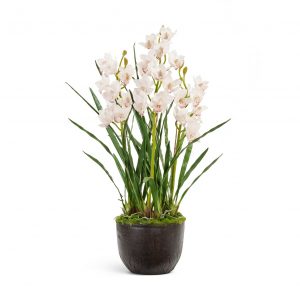 Композиция "Орхидея Цимбидиум куст белый 3 ветки с имитацией земли"