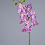 Орхидея Фаленопсис Элегант розово-белая 70см
